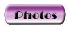 See Our Photo Album!